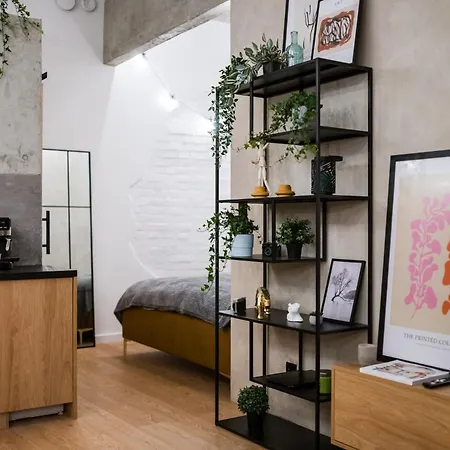 شقة D21 Art Loft كراكوفيا