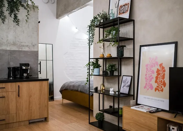 شقة D21 Art Loft كراكوفيا